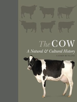 cover image of The Cow